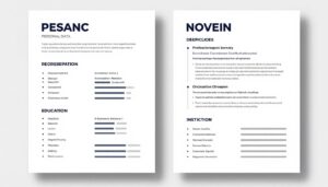 Przykładowy układ prostego CV z wyraźnie zaznaczonymi sekcjami