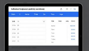 Kalkulator krajowej podróży służbowej - interfejs z polami do wprowadzania danych